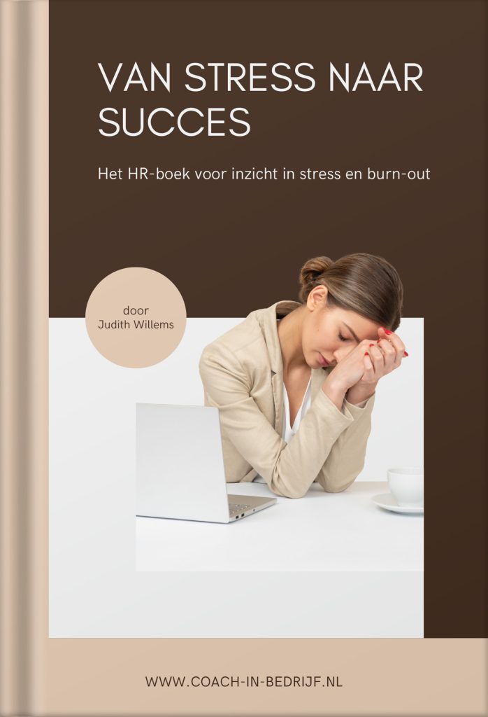 E-book van stress naar succes